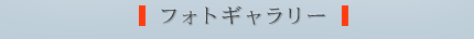 tHgM[